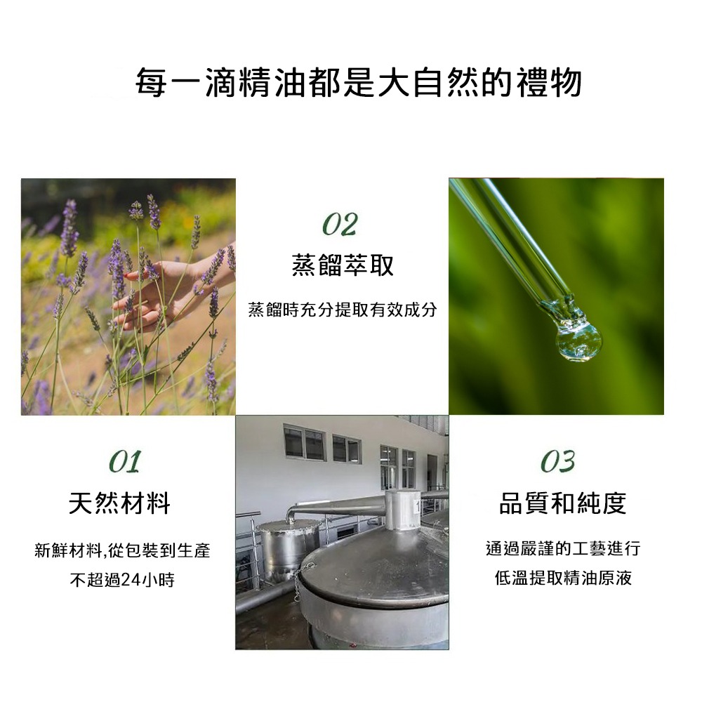 【品菲特PINFIS】植物天然精油 香氛精油 10ml - 尤加利-細節圖4