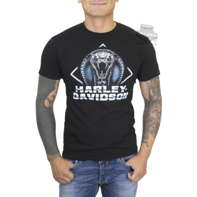 Harley-Davidson 哈雷機車 短袖T恤【M】【L】Core Biker Snake 全新 現貨