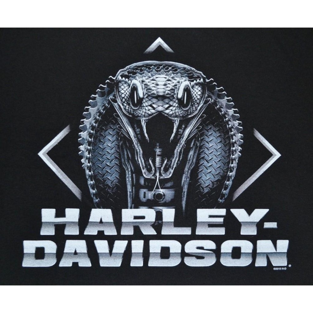 Harley-Davidson 哈雷機車 短袖T恤【L】Core Biker Snake 全新 現貨-細節圖3