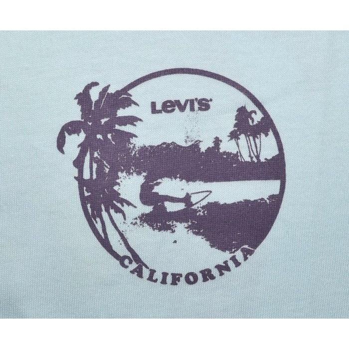 Levi＇s【XL】【XXL】短袖T恤 Surf Green 衝浪 柔軟棉質 224910646 大尺寸 大尺碼 現貨-細節圖4