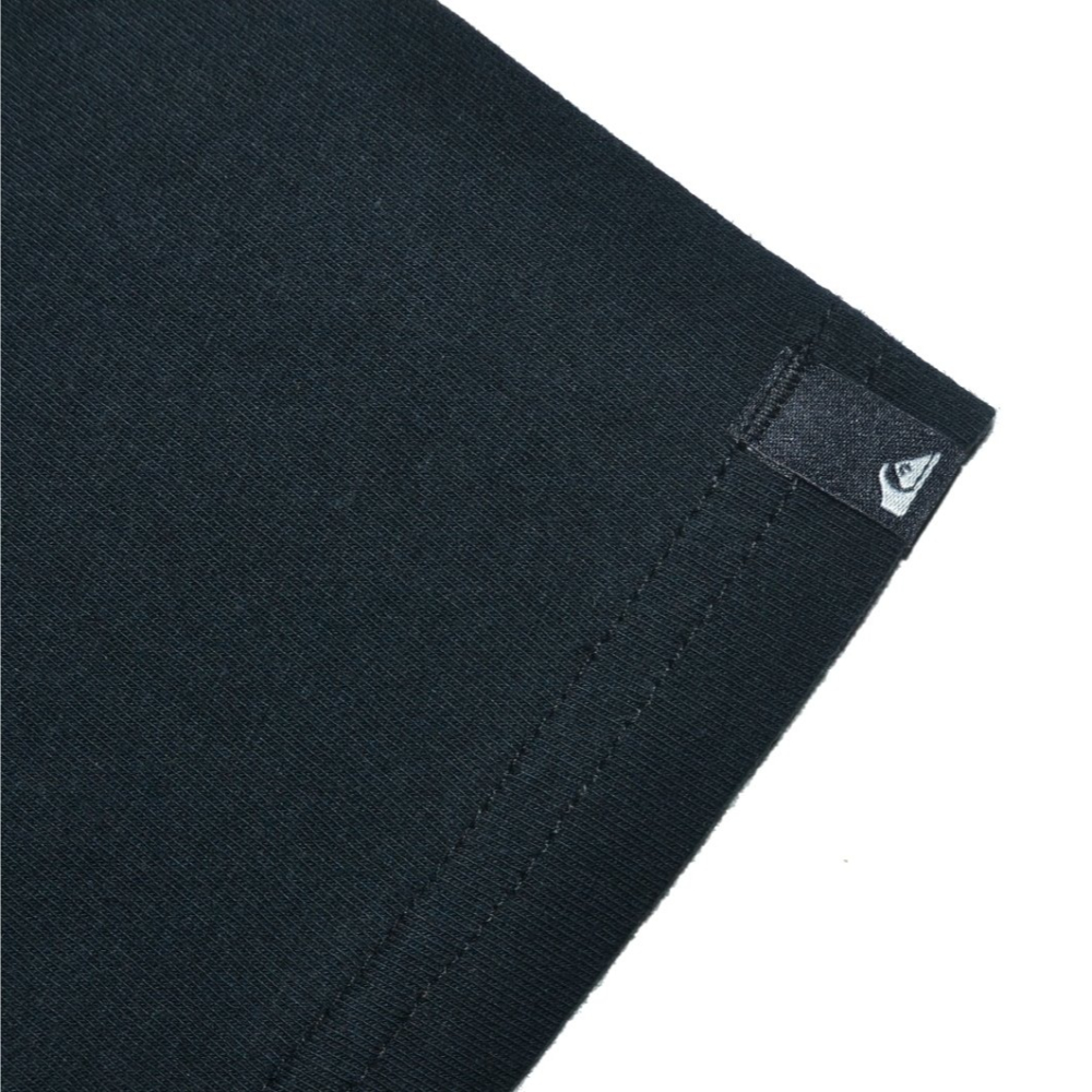 QUIKSILVER【寬鬆版】【M L XL】短袖T恤 厚棉 Taking Roots UQYZT05013 全新 現貨-細節圖8