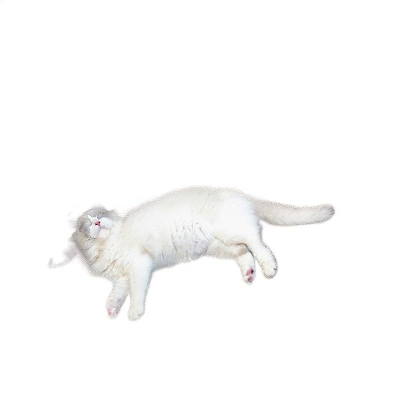 貓抓板耐磨不掉屑大號貴妃椅沙發貓咪磨爪貓爪板一體貓抓板窩-細節圖5
