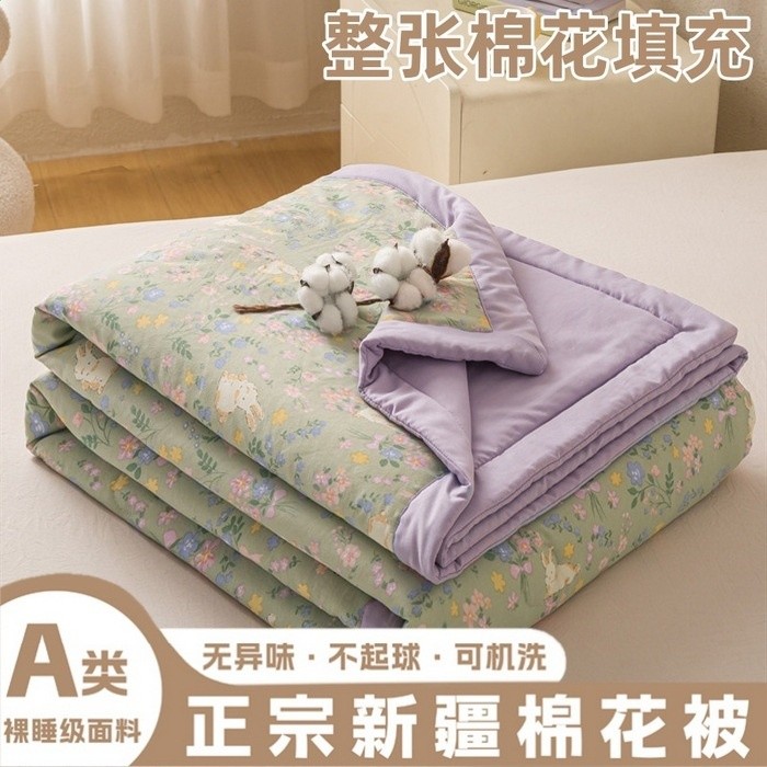 春意【A類抗菌 100%新疆棉芯】