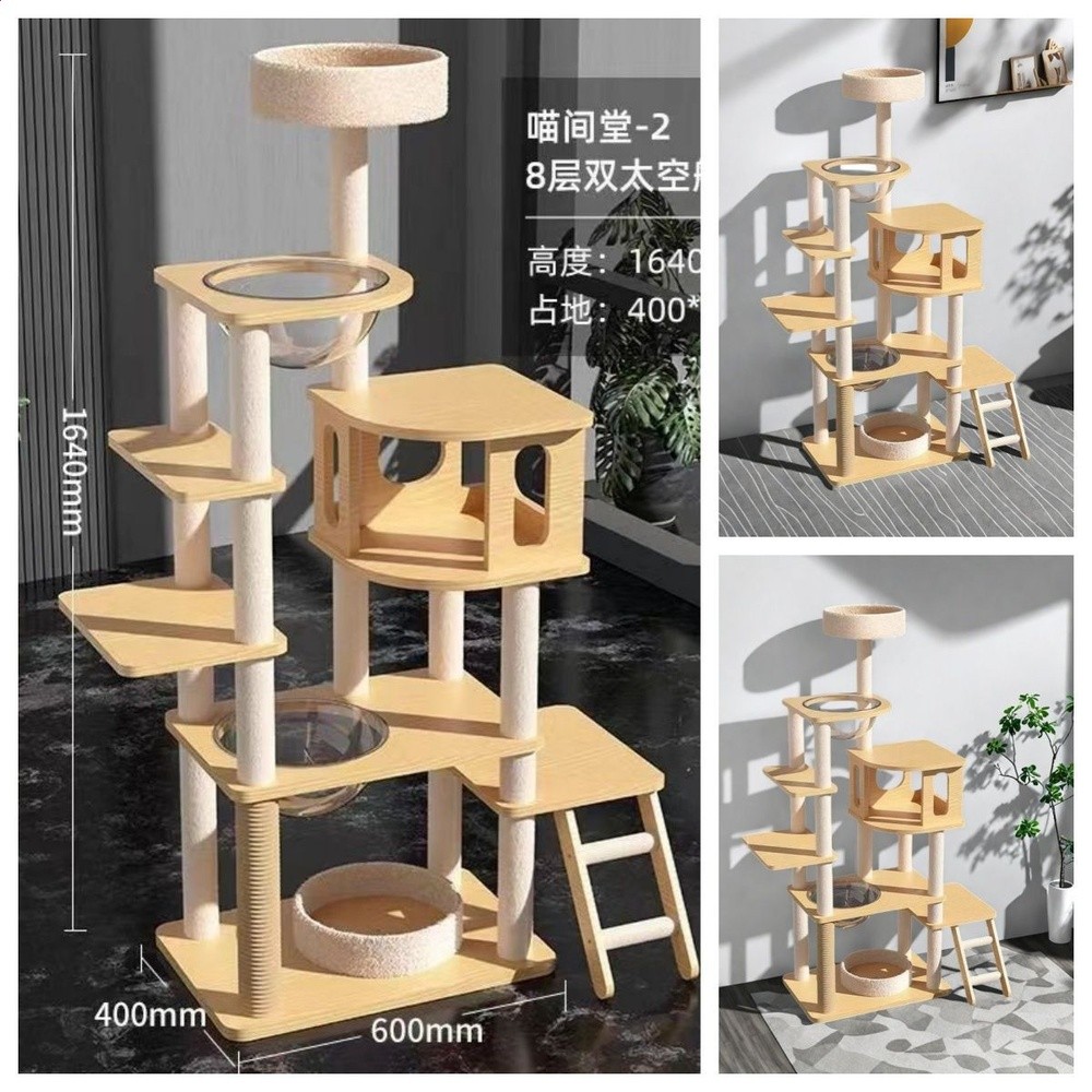 【六號糖果屋舍】-愛貓靜謐港灣