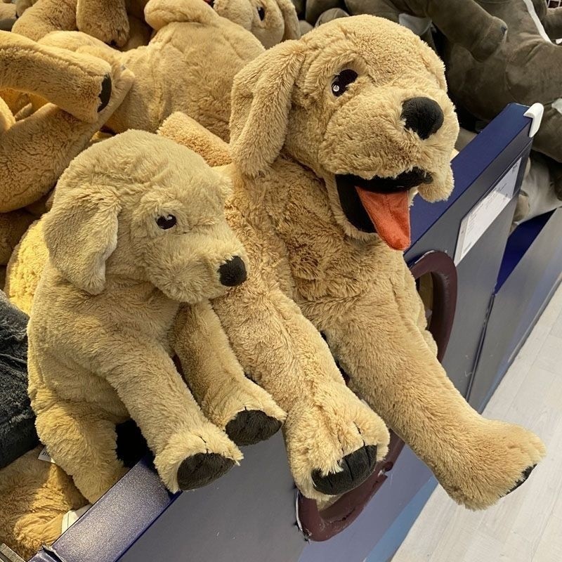 狗狗毛絨玩具古西格格登大小黃狗抱枕生日禮物金毛犬玩偶【廠家】-細節圖2