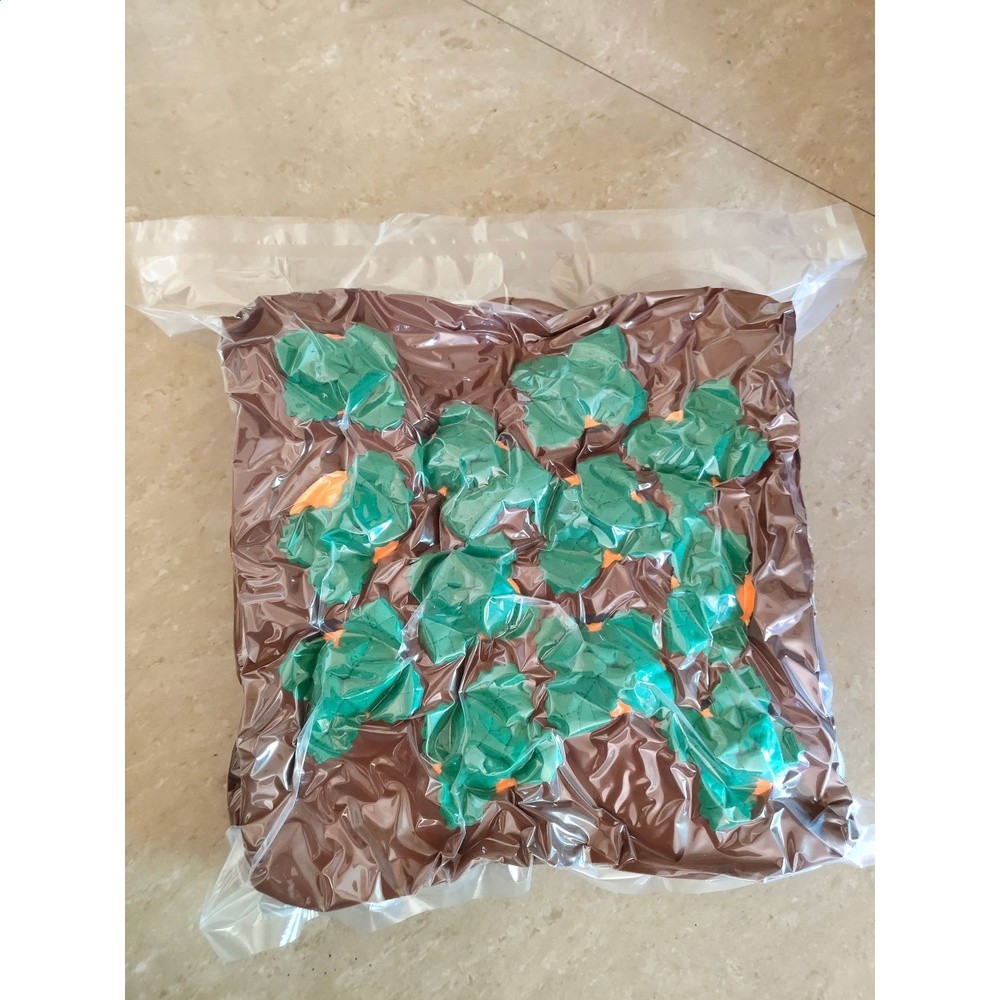 跨境現貨拔蘿蔔毛絨玩具寵物啃咬玩偶水果蔬菜地兒童早教可愛抱枕-規格圖5