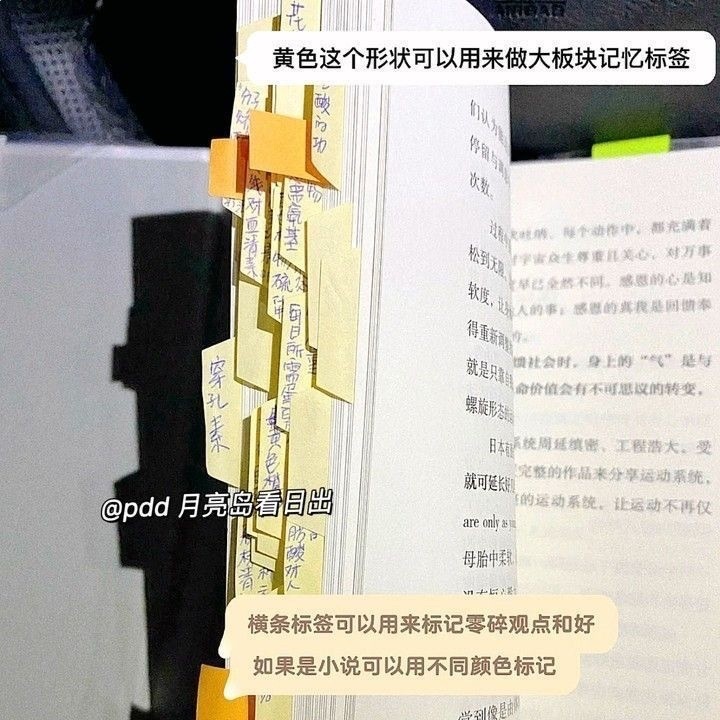小紅書同款筆記索引貼標籤貼紙便利貼ins風分類指示書籤記號學生-細節圖3