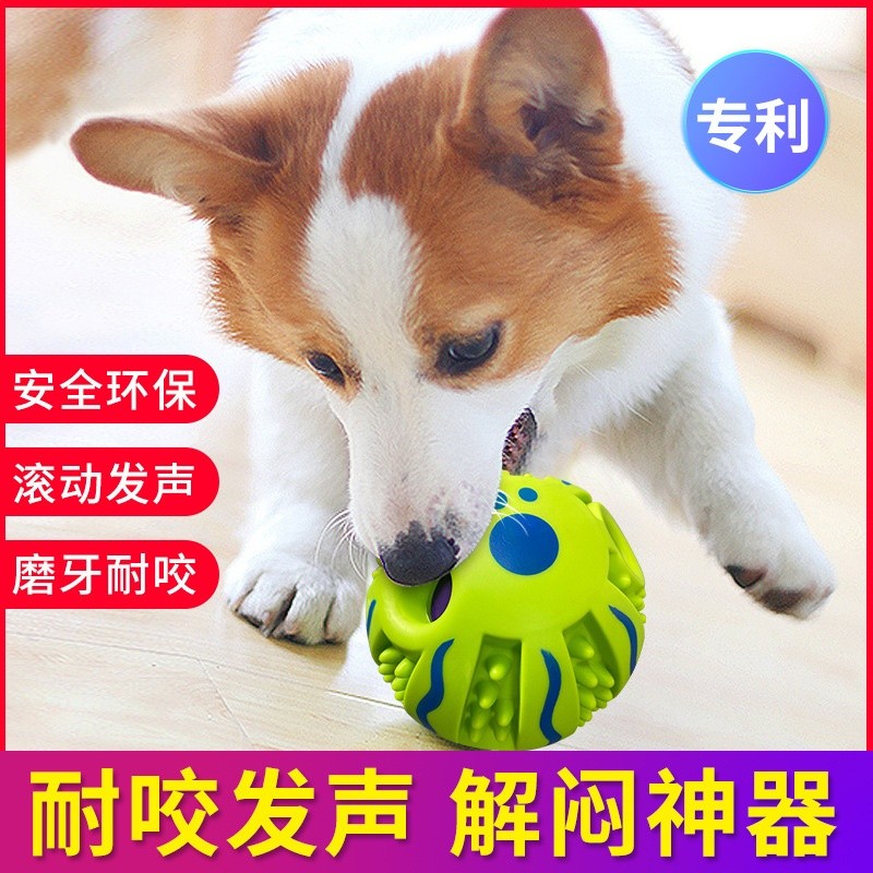 寵物玩具發聲球啃咬磨牙耐咬狗狗解悶法鬥訓練狗球專供跨境店商-細節圖4