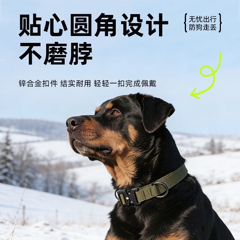 跨境新款狗狗項圈尼龍織帶魔術貼防爆衝鋅合金插扣中大型犬牽引繩-細節圖4