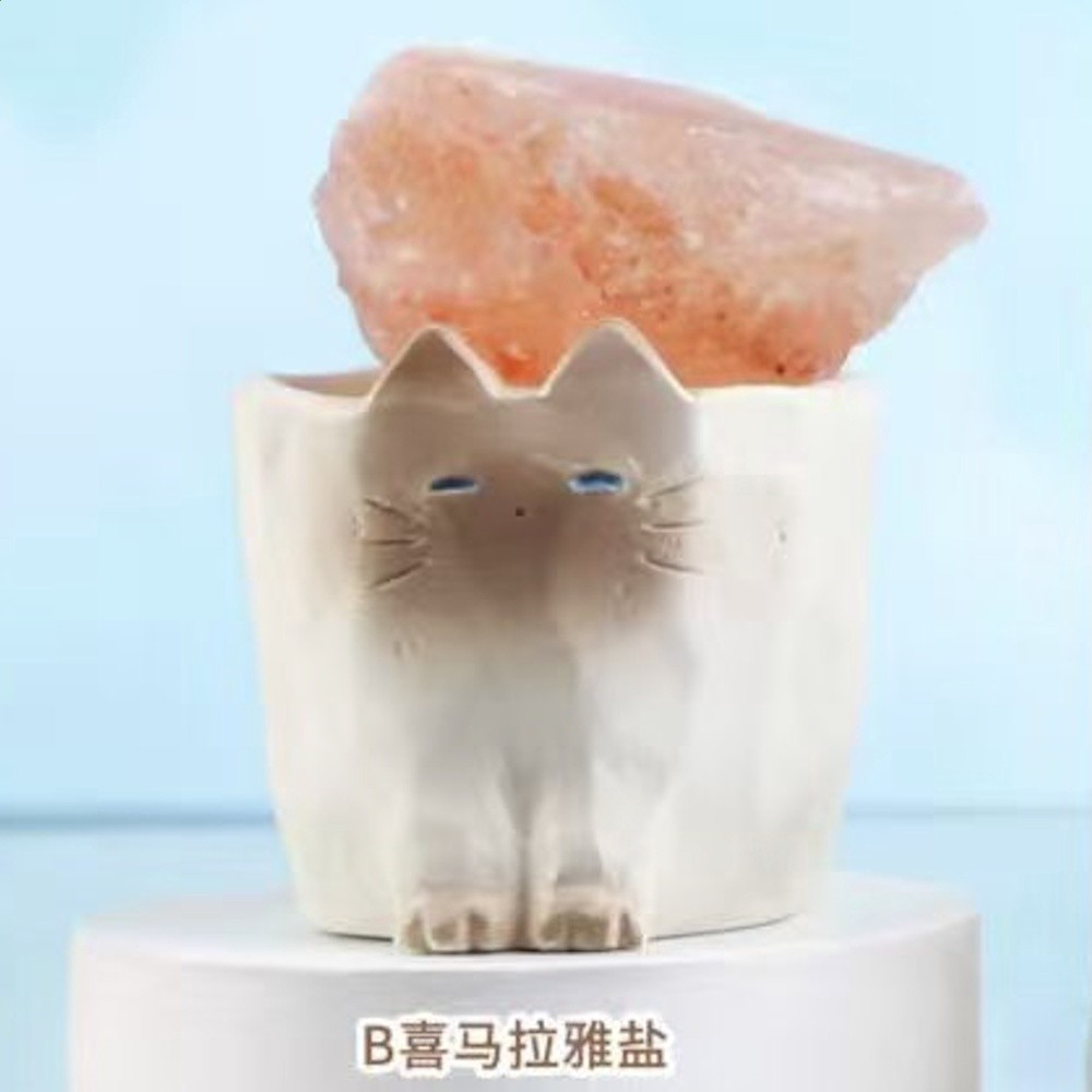 正版貓貓PAL水晶盲盒擺件創意喵喵動物桌面貓咪公仔手辦生日禮物-規格圖5