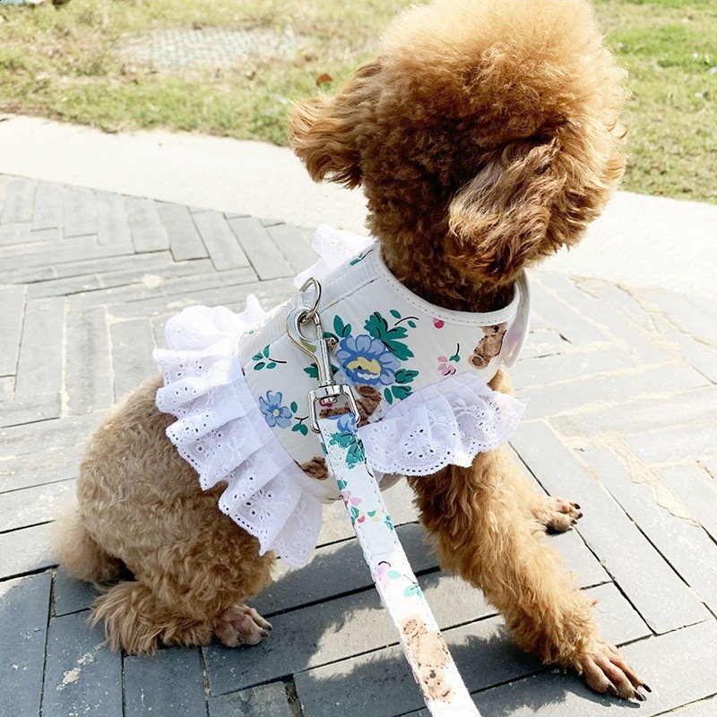 泰迪狗衣服網紅比熊秋季可愛寵物博美狗狗胸揹帶幼犬小型犬牽引繩-細節圖2