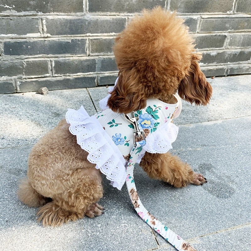 泰迪狗衣服網紅比熊秋季可愛寵物博美狗狗胸揹帶幼犬小型犬牽引繩-細節圖3