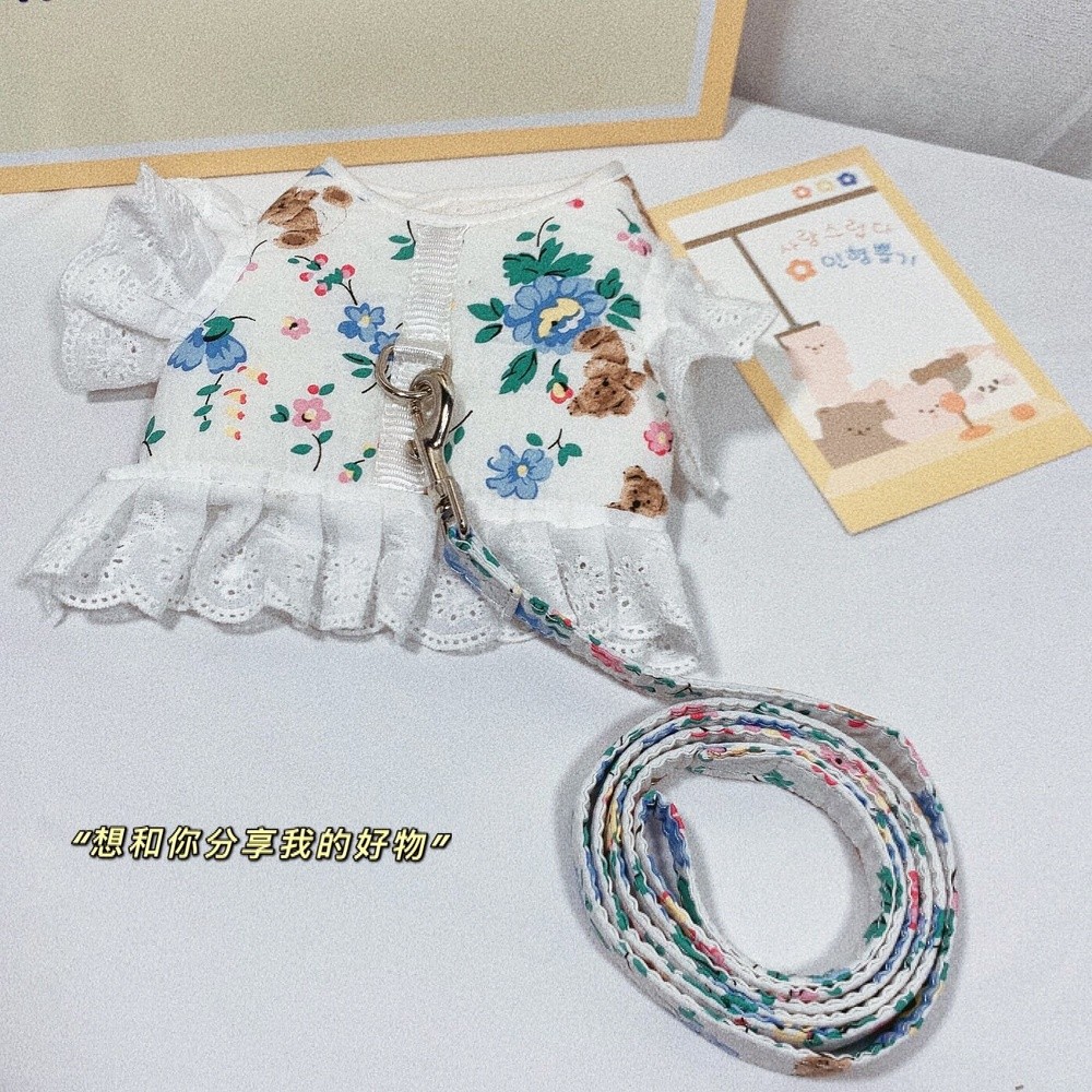 泰迪狗衣服網紅比熊秋季可愛寵物博美狗狗胸揹帶幼犬小型犬牽引繩-細節圖4