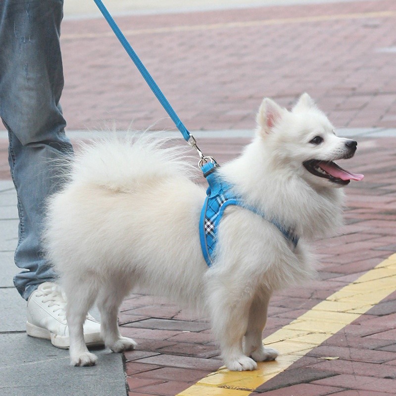 跨境新品寵物貓狗狗胸背牽引JK時尚可愛遛狗衣服小型犬胸背-細節圖3