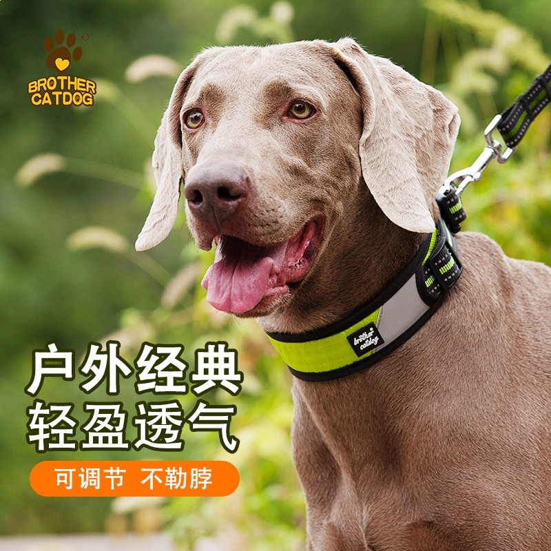 狗狗牽引繩中型大型犬遛狗脖圍狗繩子金毛拉布拉多寵物項圈可調節-細節圖2