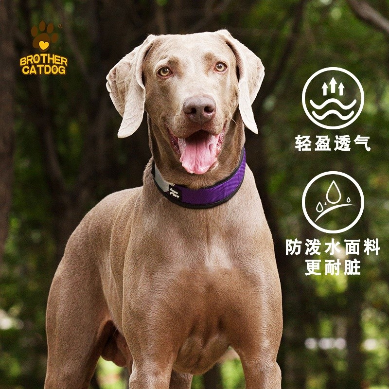 狗狗牽引繩中型大型犬遛狗脖圍狗繩子金毛拉布拉多寵物項圈可調節-細節圖4