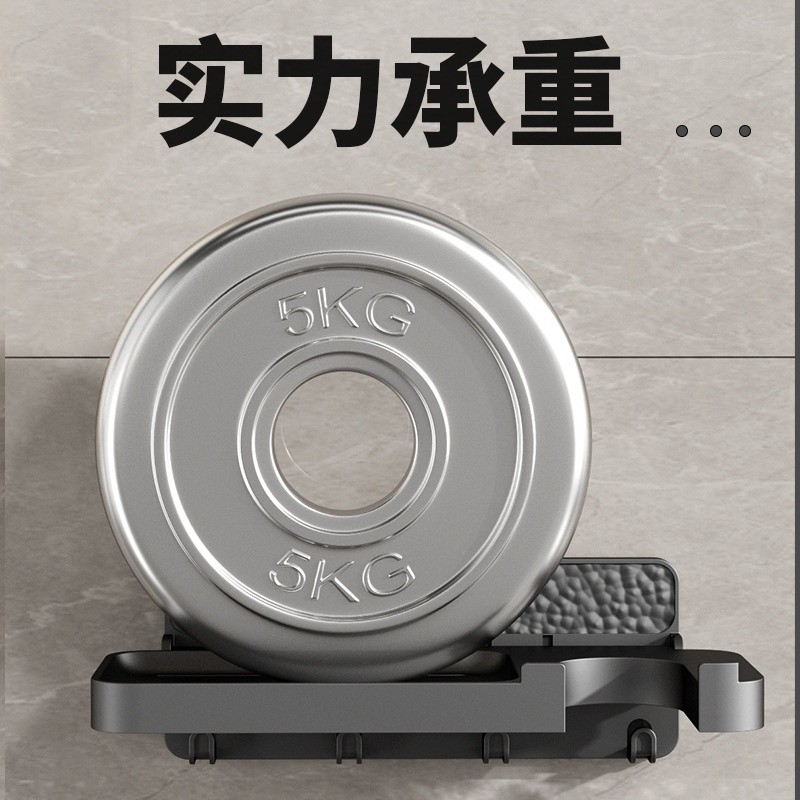 懶角落戴森吹風機架風筒置物架免打孔浴室衛生間電吹風機收納支架-細節圖2