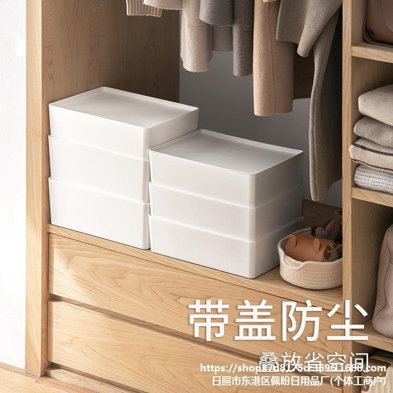 女家襪子分格子整理盒有蓋文胸儲物盒懶角落塑膠內衣收納盒內褲用-細節圖2
