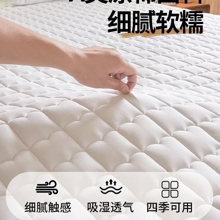 A類母嬰級夾棉床墊軟墊加厚家用保護墊床褥墊學生宿舍防水保護墊-細節圖2