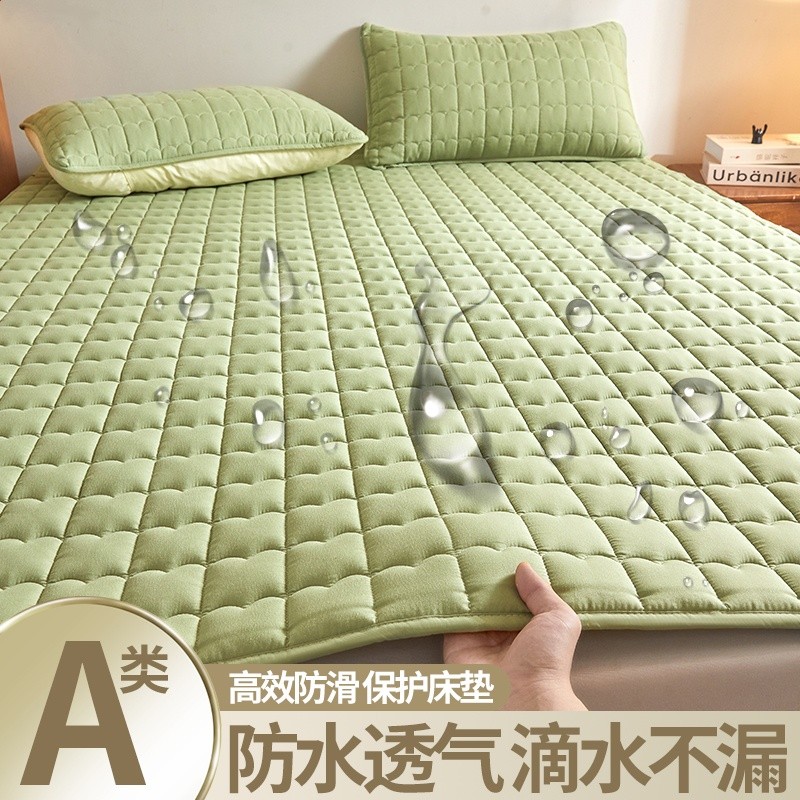蘋果綠【加厚夾棉  四季通用】