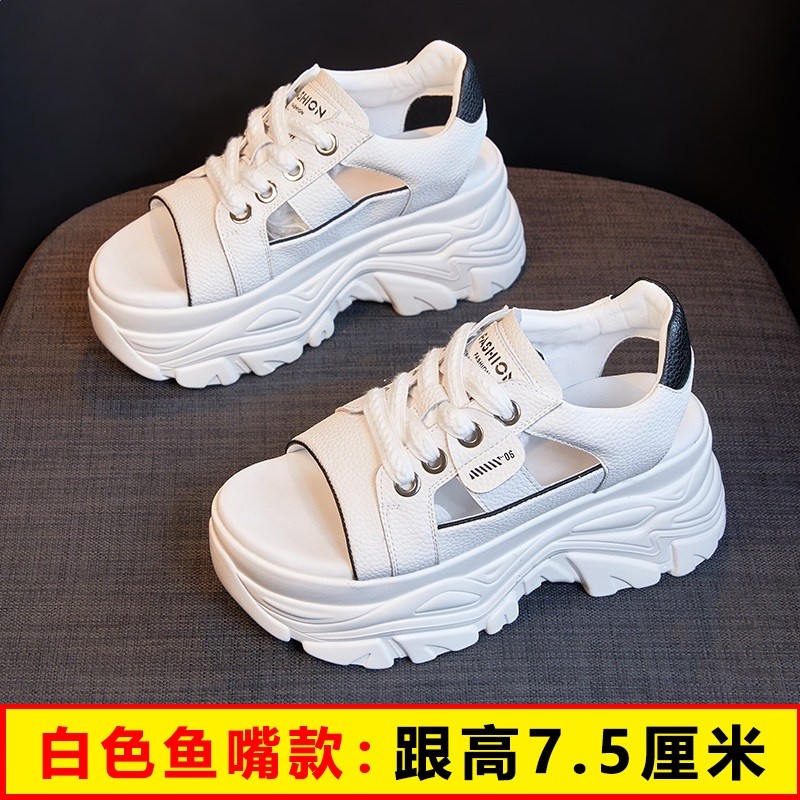 白色