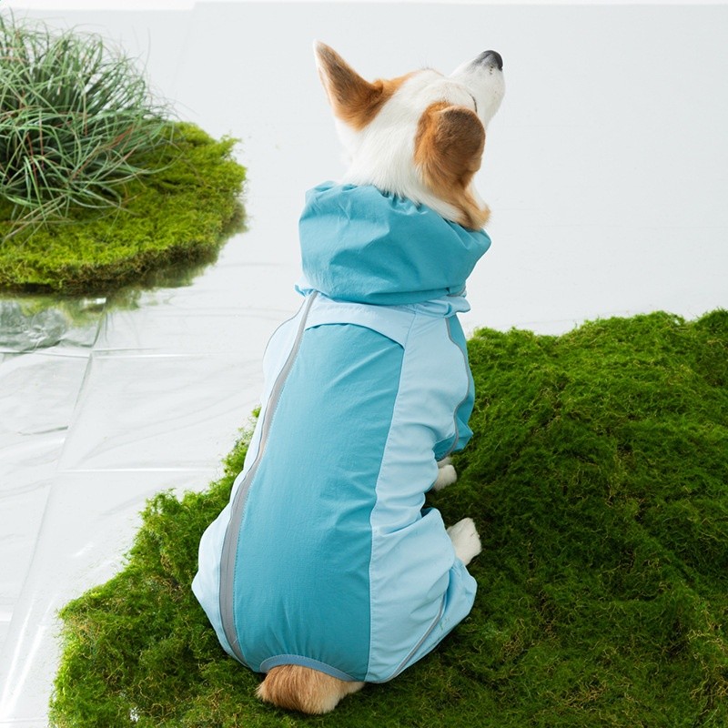 全包撞色柯基衝鋒雨衣中小型犬臘腸犬四腳狗狗雨衣雨天寵物狗衣服-細節圖5