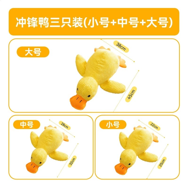 【快樂套餐3】小號+中號+大號