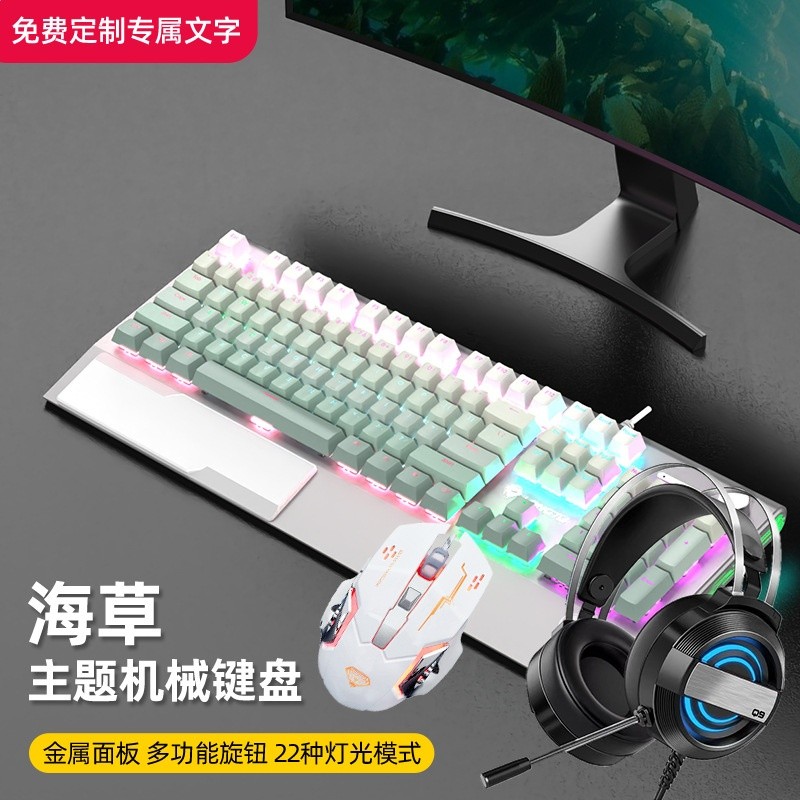 三件套：銀底海草鍵盤+白色502滑鼠+黑色Q9耳機