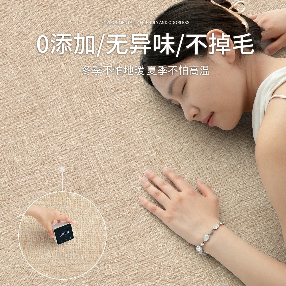 地毯客廳中古風加厚臥室床邊毯免洗可擦高階家用輕簡約復古地毯-細節圖3