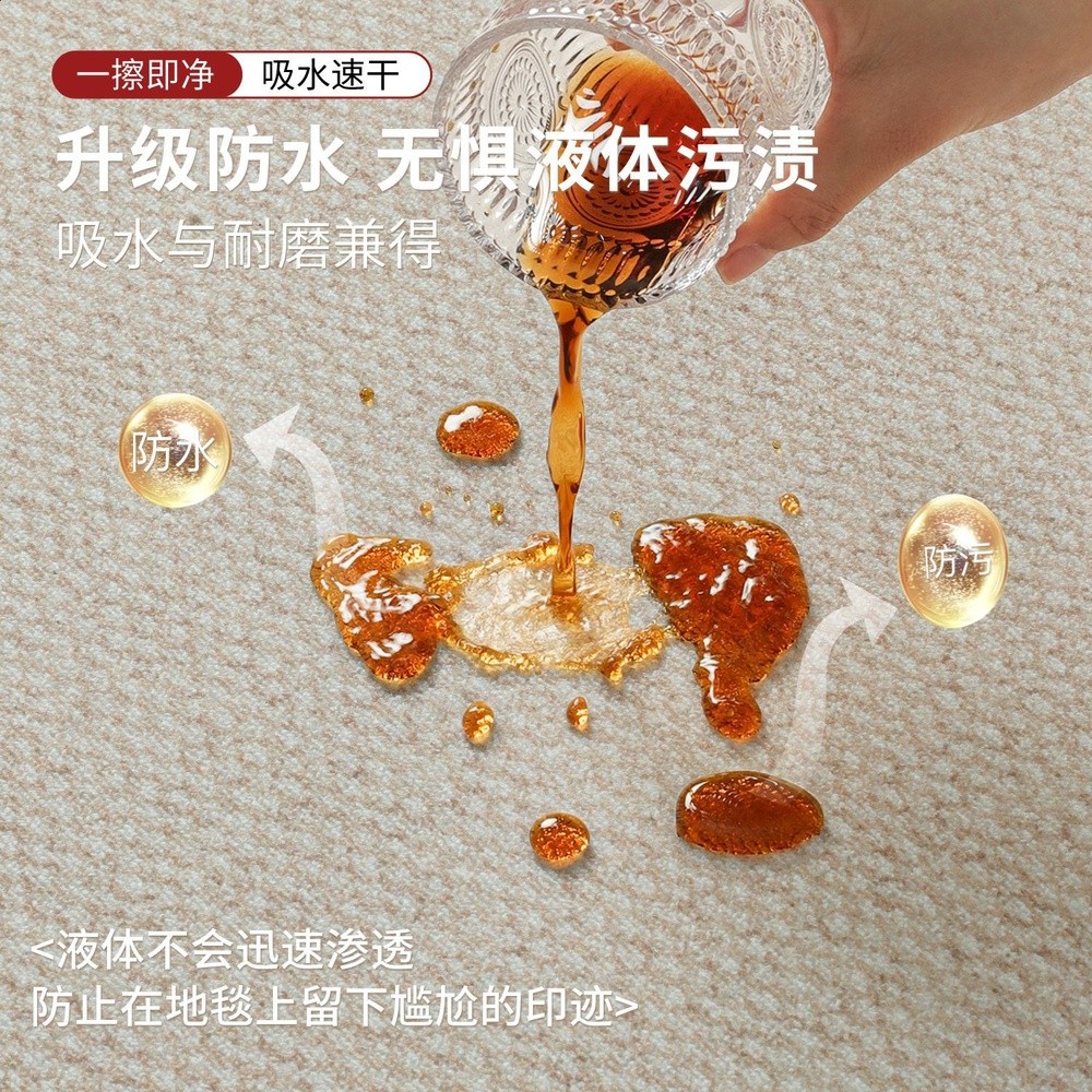 入戶門地墊黑色輕奢高階感進門門口防滑耐髒入門地毯腳墊防水防汙-細節圖4