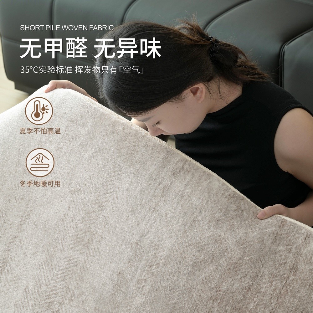 地毯客廳新款意式輕奢家用防水防汙免洗易打理沙發高階感家用地毯-細節圖3