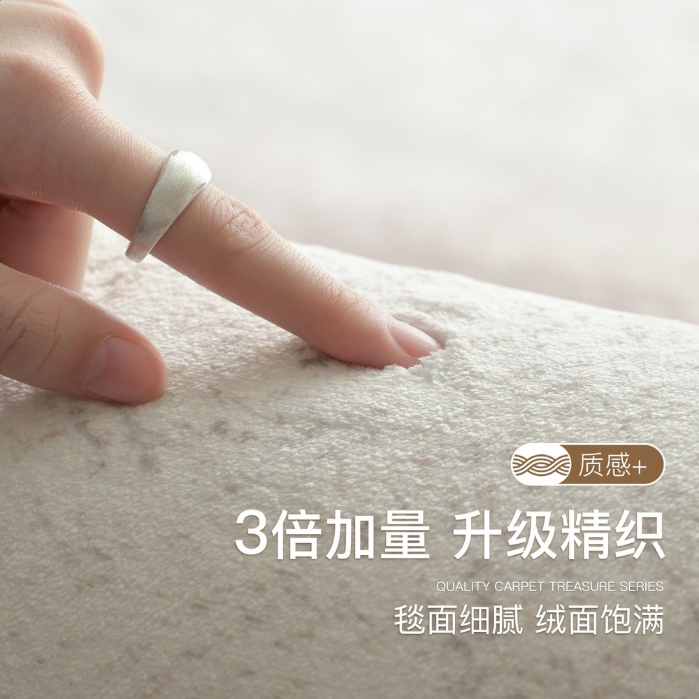 地毯客廳新款意式輕奢家用防水防汙免洗易打理沙發高階感家用地毯-細節圖4