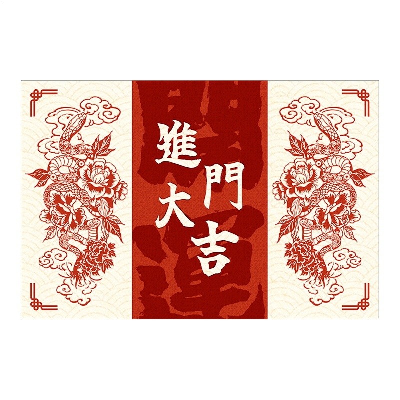 入戶門地墊2024新款蛇年喜慶門口進門墊門外室外家用腳墊耐髒加厚-細節圖5