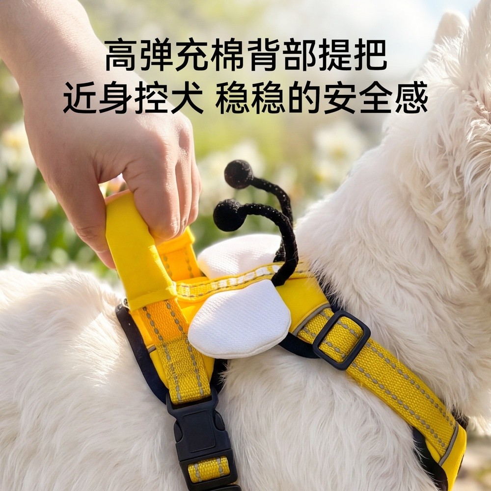 26年新款狗狗牽引繩輕羽飛行家胸揹帶蜜蜂翅膀中小型犬外出牽引繩-細節圖4