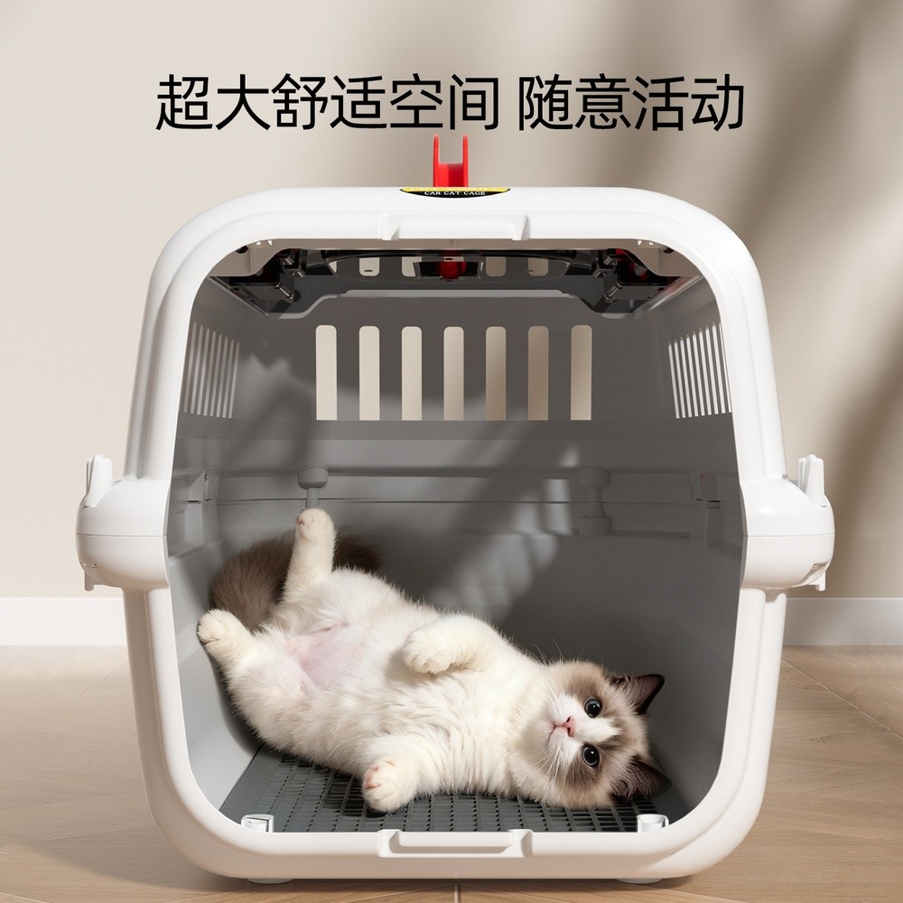 航空箱寵物貓咪中小型犬專用狗籠子便攜外出大號太空箱狗狗託運箱-細節圖2