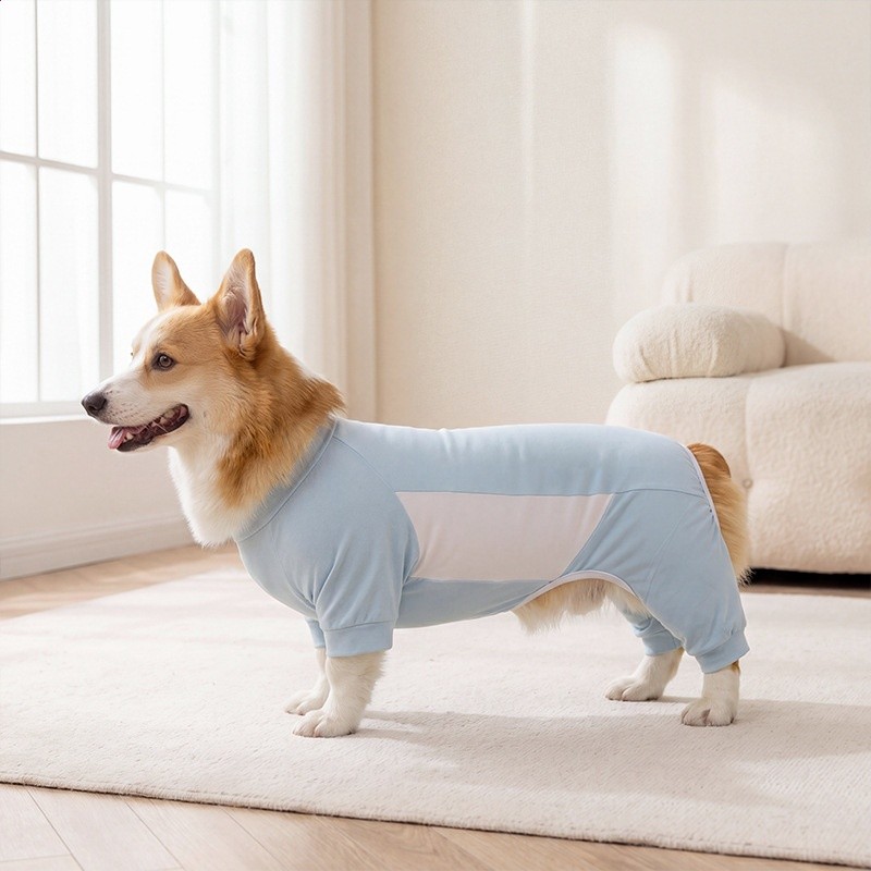 夏季狗狗涼涼衣莫代爾柯基中型犬薄款透氣四腳家居服防曬寵物衣服-規格圖5