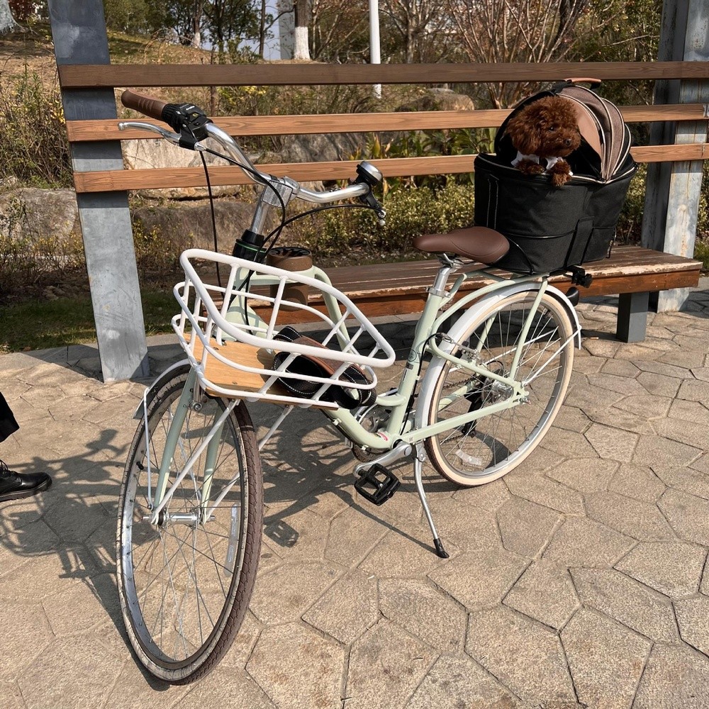 腳踏車後座狗狗寵物車包大容量電動車藍滑板車可摺疊手提帆布車包-細節圖3