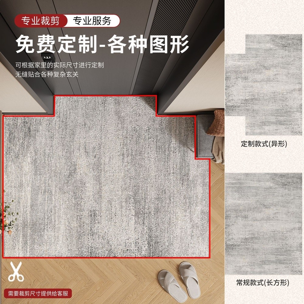 入戶門地墊高階感進門耐髒防滑腳墊耐髒家用門墊門口免洗玄關地毯-細節圖3