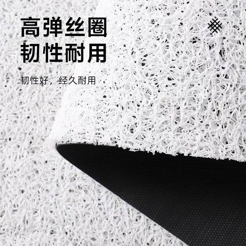 國家一級保護廢物趣味地墊入戶門墊新款門口腳墊絲圈客廳防滑墊子-細節圖2