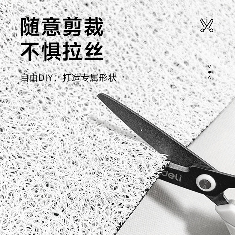國家一級保護廢物趣味地墊入戶門墊新款門口腳墊絲圈客廳防滑墊子-細節圖3