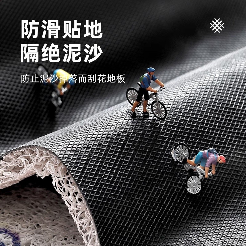 國家一級保護廢物趣味地墊入戶門墊新款門口腳墊絲圈客廳防滑墊子-細節圖4