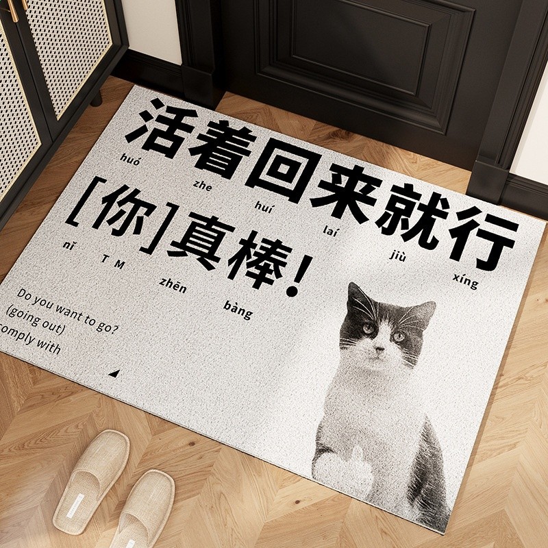 國家一級保護廢物趣味地墊入戶門墊新款門口腳墊絲圈客廳防滑墊子-規格圖5