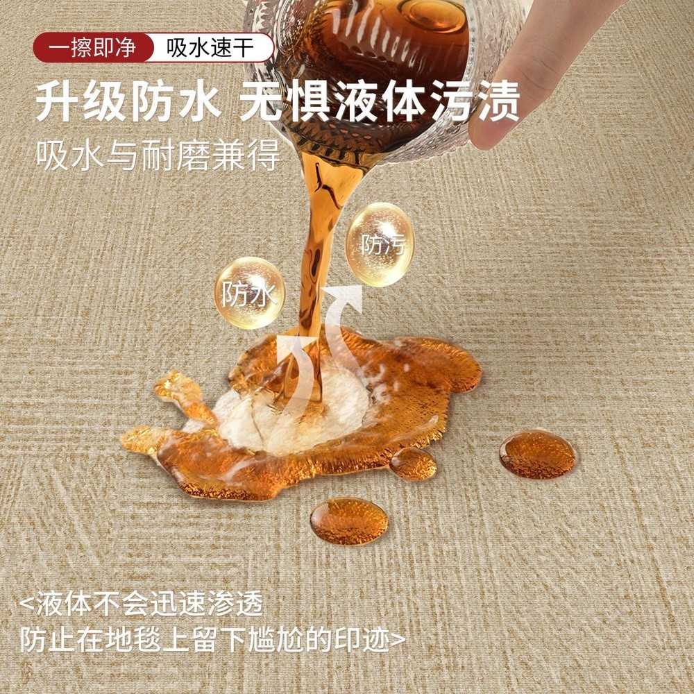 地墊入戶門進門地毯門口家用門墊防滑客廳高階入戶玄關腳墊易打理-細節圖4