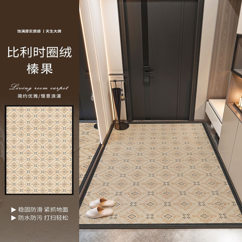 地墊入戶門進門地毯門口家用門墊防滑客廳高階入戶玄關腳墊易打理-規格圖5