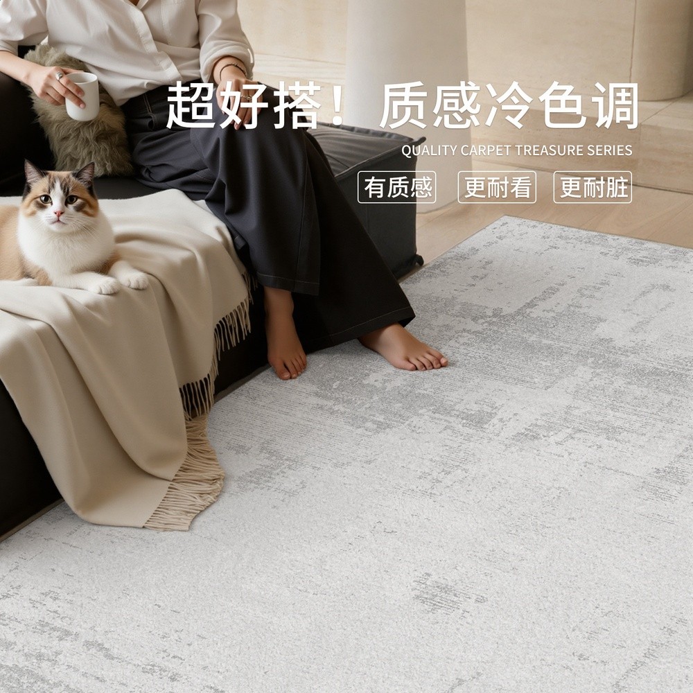 地毯客廳意式輕奢免洗可擦灰色臥室地墊家用防水防汙高階沙發地墊-細節圖3