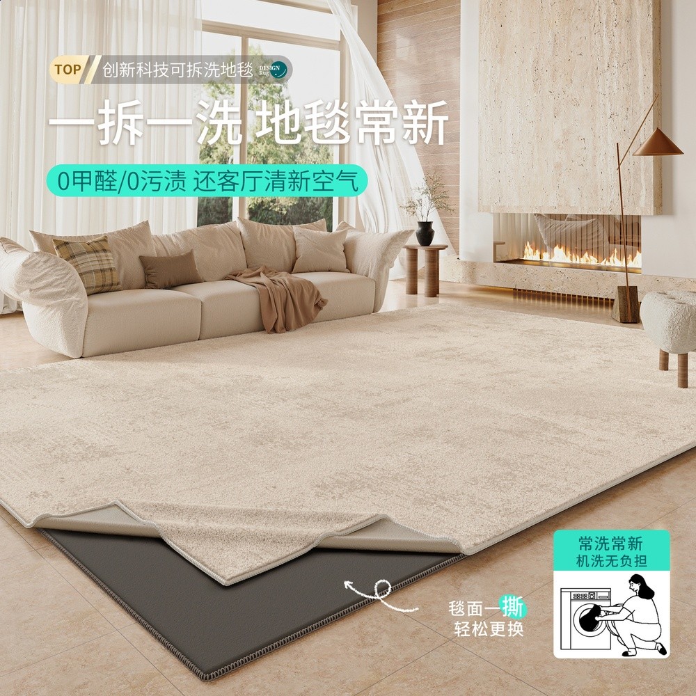 可拆洗地毯客廳侘寂風輕奢高階感沙發隔音墊臥室大面積全鋪床邊毯-細節圖2