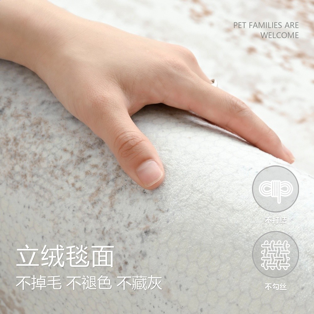 地毯客廳2026新款輕奢高階免洗可擦意式現代簡約防水沙發茶几地墊-細節圖3