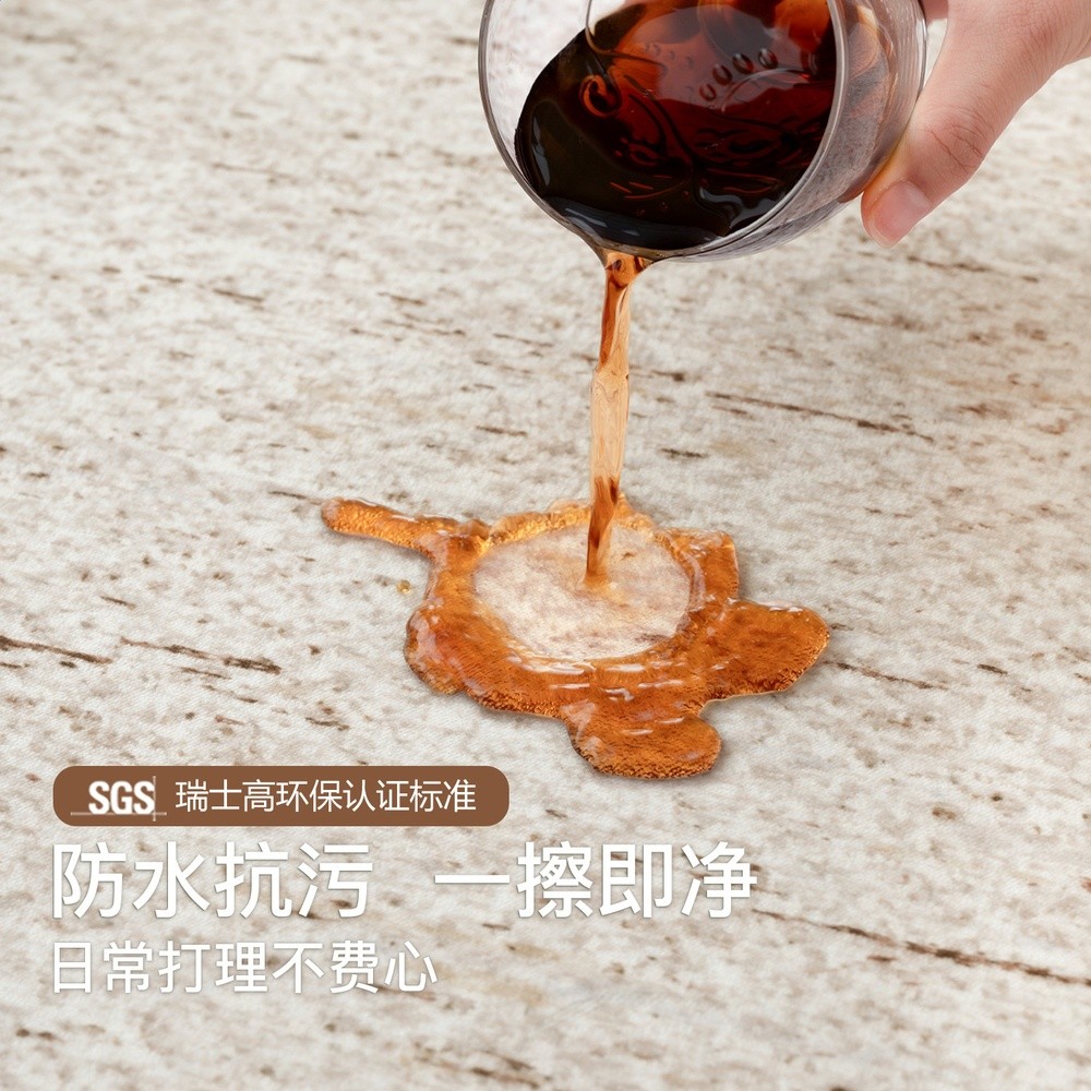 地毯客廳2026新款輕奢高階免洗可擦簡約風防水沙發茶几毯天津地墊-細節圖2