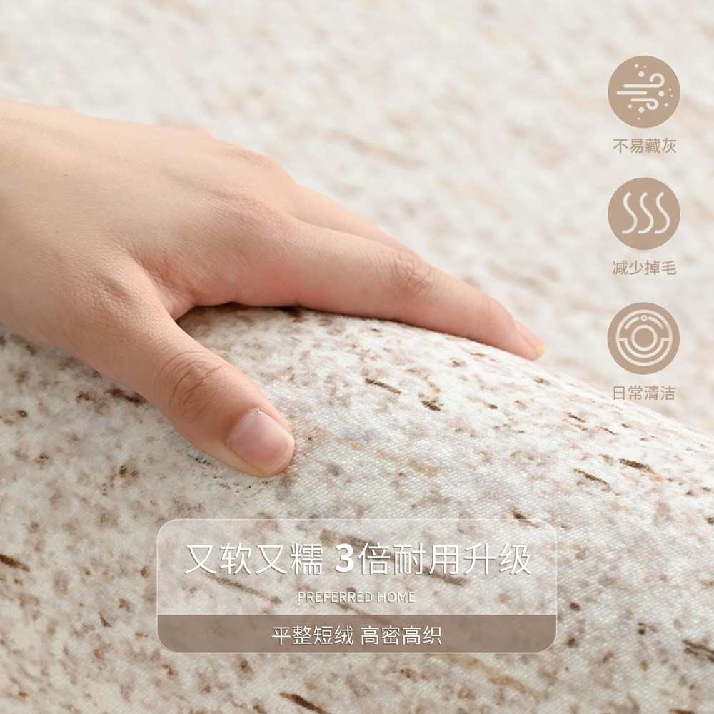 地毯客廳2026新款輕奢高階免洗可擦簡約風防水沙發茶几毯天津地墊-細節圖3