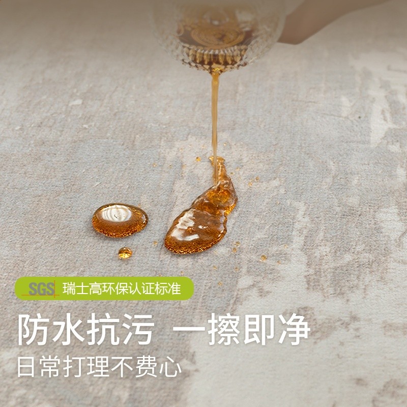 地毯客廳意式極簡免洗可擦防水2026新款臥室床邊毯家用耐髒地墊-細節圖2